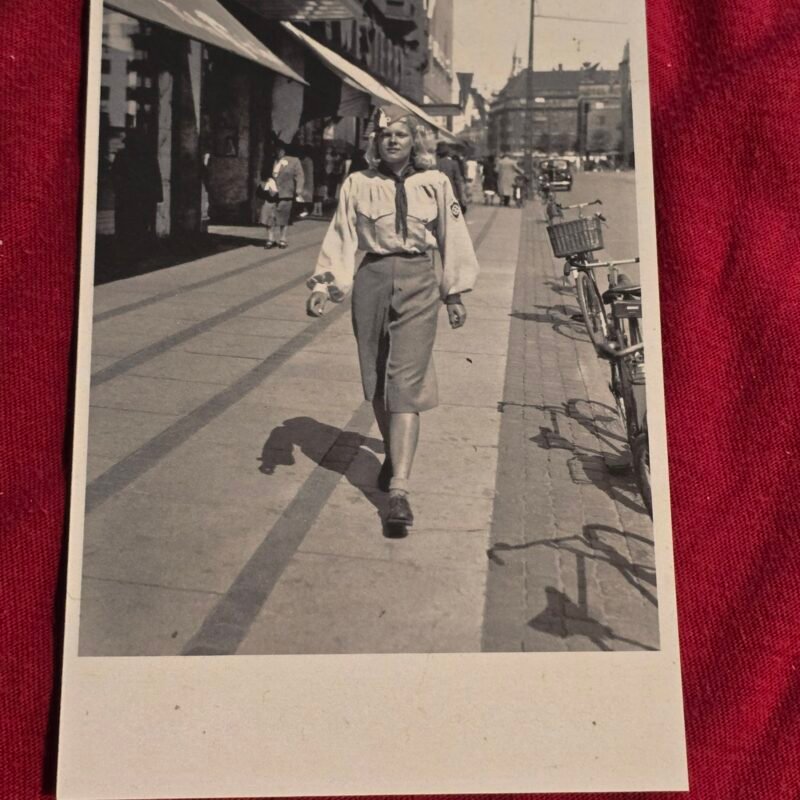 DNSAP Girl Nazi Danmark Denmark Postcard WW2 National Socialist Propaganda