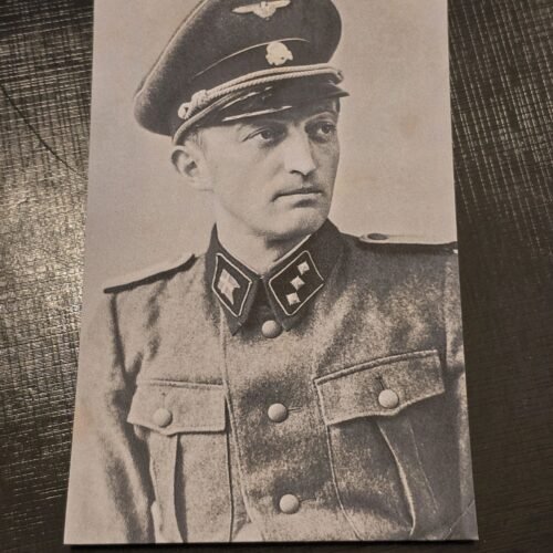 DNSAP Denmark Nazi Party Postcard SS Officer WW2 German Third Reich NSDAP