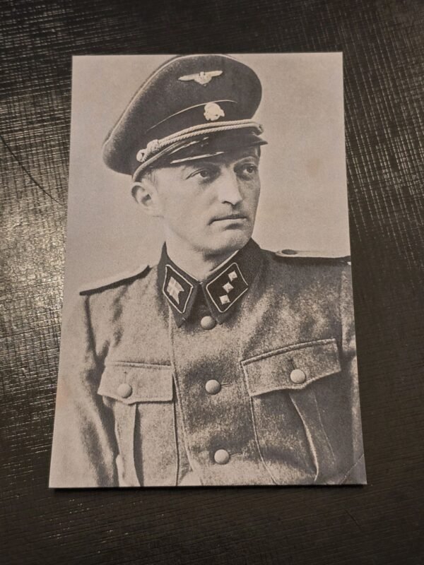 DNSAP Denmark Nazi Party Postcard SS Officer WW2 German Third Reich NSDAP