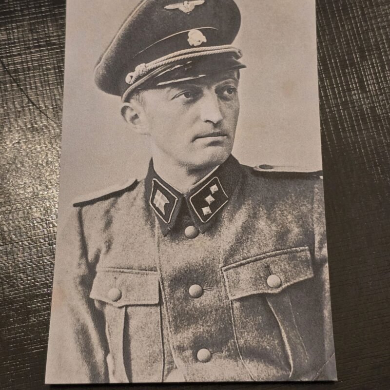 20250213_130125.jpg DNSAP Denmark Nazi Party Postcard SS Officer WW2 German Third Reich NSDAP