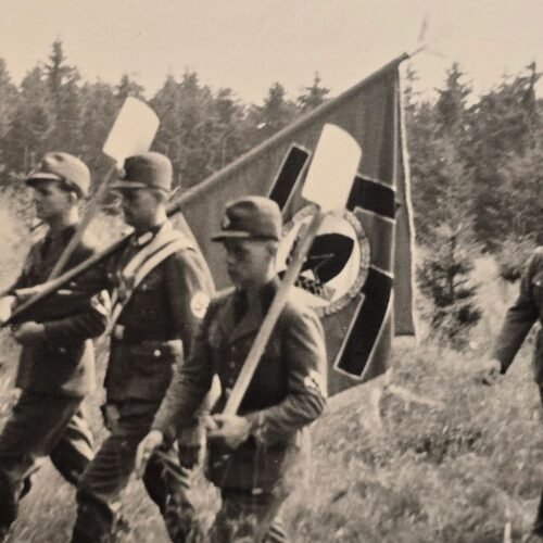 20260506_161833.jpg WW2 Nazi German Third Reich Third Reich RAD Swastika Standard Flag bearer Photo