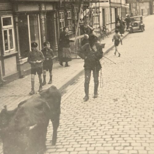 20260621_121411.jpg Hitler Youth HJ DJ Deutsche Jugend Boys in Uniform WW2 German Third Reich Era Photo