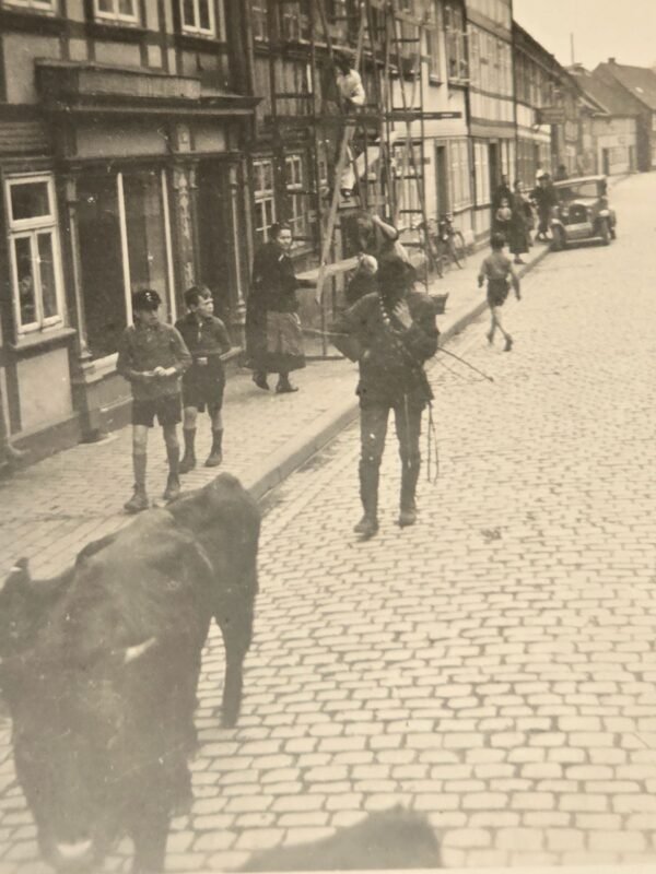 20260621_121411.jpg Hitler Youth HJ DJ Deutsche Jugend Boys in Uniform WW2 German Third Reich Era Photo