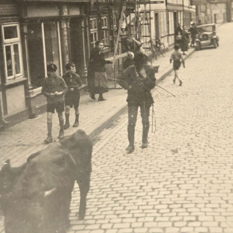 20260621_121411.jpg Hitler Youth HJ DJ Deutsche Jugend Boys in Uniform WW2 German Third Reich Era Photo