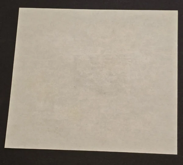 Adolf Hitler ANTIFA Antifaschistische Anti Fascist Souvenir Stamp Sheet