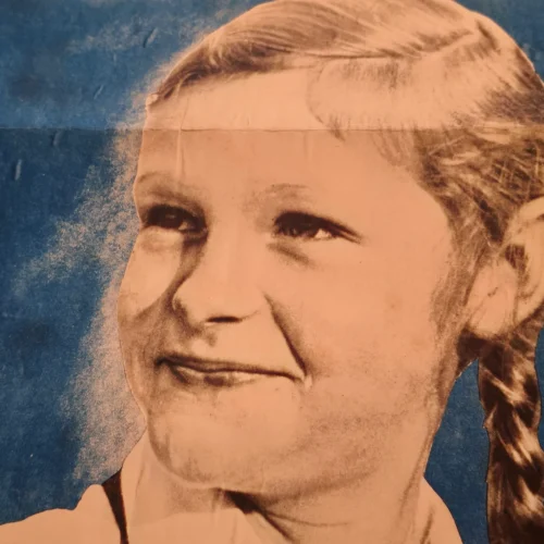 afolg-hitler-bdm-girl-poster-ww2-nazi-german-nsdap-third-reich-print-03-4b00f8f3 Afolg Hitler BDM Girl Poster WW2 Nazi German NSDAP Third Reich Print
