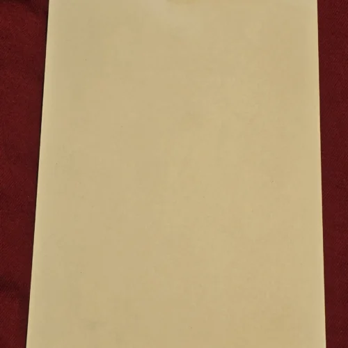 April 10 1938 National Socialist Voting Day Postcard w Special Cancels WW2 Nazi German Third Reich Postal
