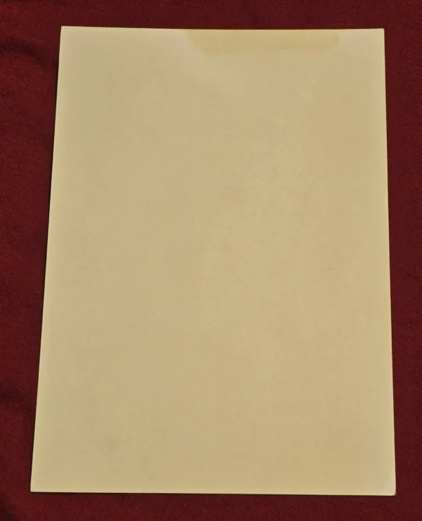April 10 1938 National Socialist Voting Day Postcard w Special Cancels WW2 Nazi German Third Reich Postal