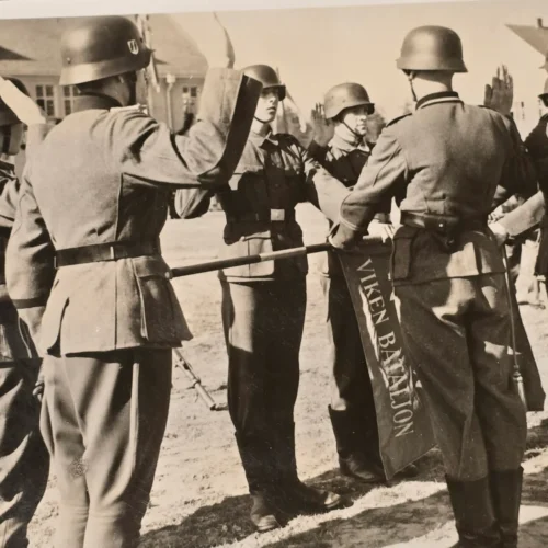 Rare Original Waffen-SS "Wiking" Division Photograph – Viken Bataljon Standard Flag