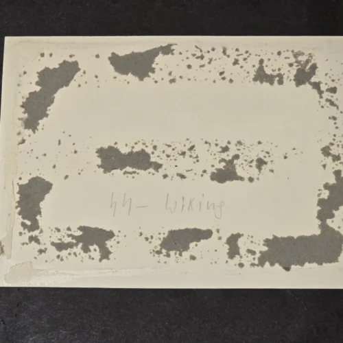 Rare Original Waffen-SS "Wiking" Division Photograph – Viken Bataljon Standard Flag