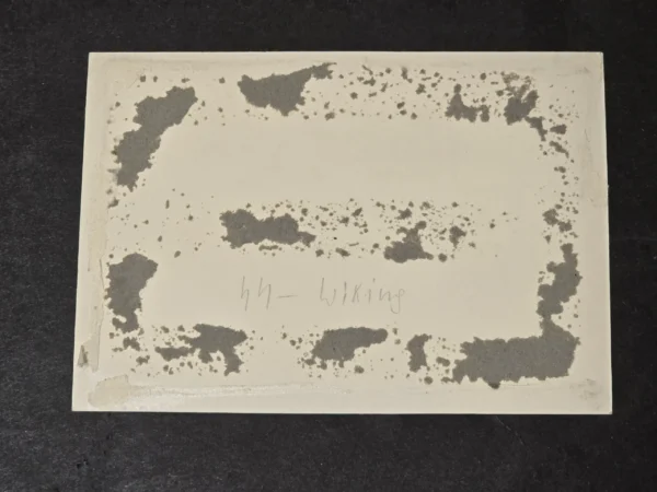 Rare Original Waffen-SS "Wiking" Division Photograph – Viken Bataljon Standard Flag