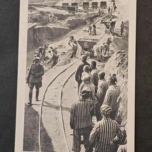 WW2 Nazi German Third reich Mauthausen Concentration Camp Liberation Photo Card Lot