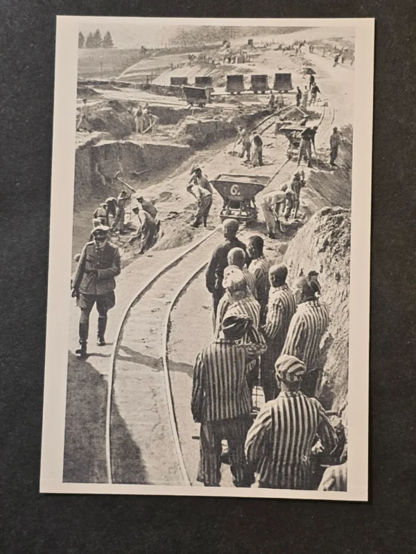 WW2 Nazi German Third reich Mauthausen Concentration Camp Liberation Photo Card Lot