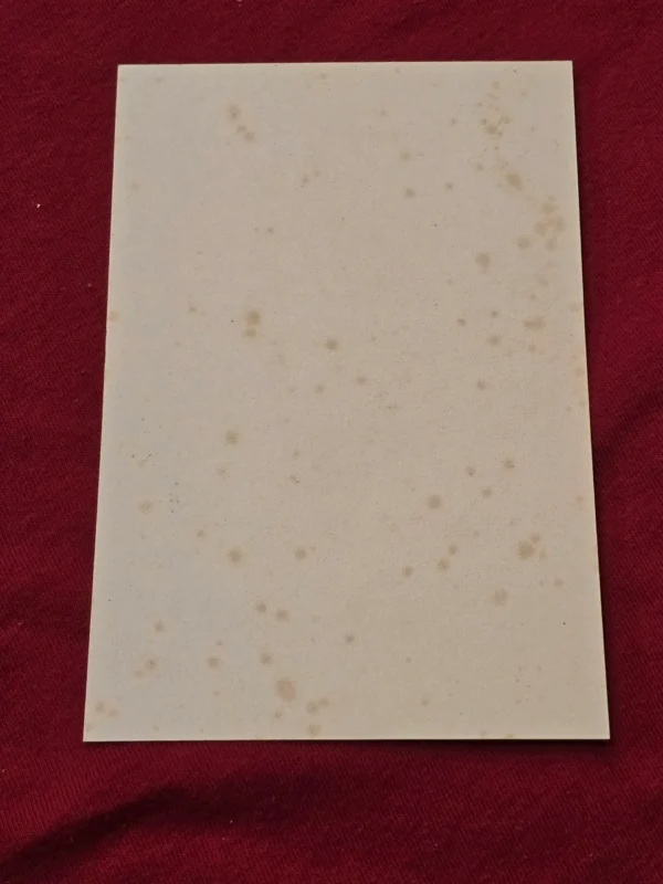 ww2-nazi-german-viktoria-steel-helmet-stamp-card-with-hitlers-birthday-cancel-02-3f935fe7 WW2 Nazi German Viktoria Steel Helmet Stamp Card with Hitlers Birthday Cancel