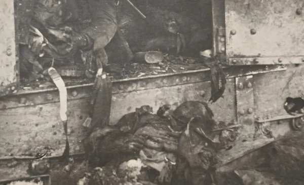WWI German Bunker Death Photo Burned Soldiers Graphic Battlefield Scene Postcard