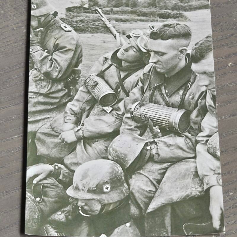 WWII German 3rd SS Totenkopf Division Soldiers Photo