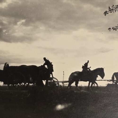 20260807_163001 CAVALRY SILHOUETTE! WW2 German Troops on the move military photo