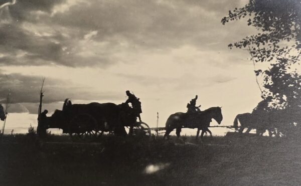 20260807_163001 CAVALRY SILHOUETTE! WW2 German Troops on the move military photo
