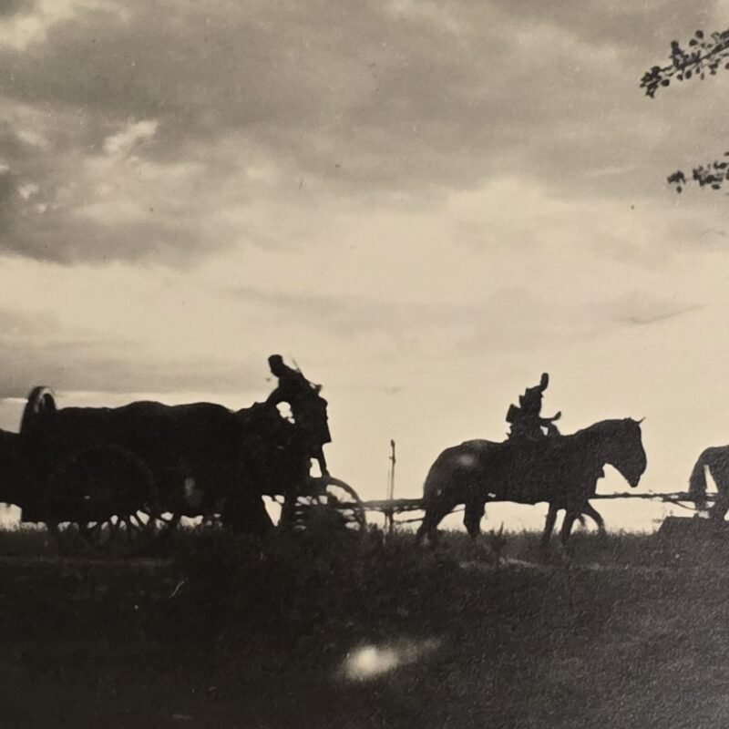 20260807_163001 CAVALRY SILHOUETTE! WW2 German Troops on the move military photo