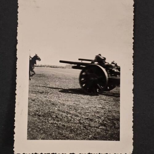 Wehrmacht Cavalry in the field w Military Cannon WW2 German War Photo