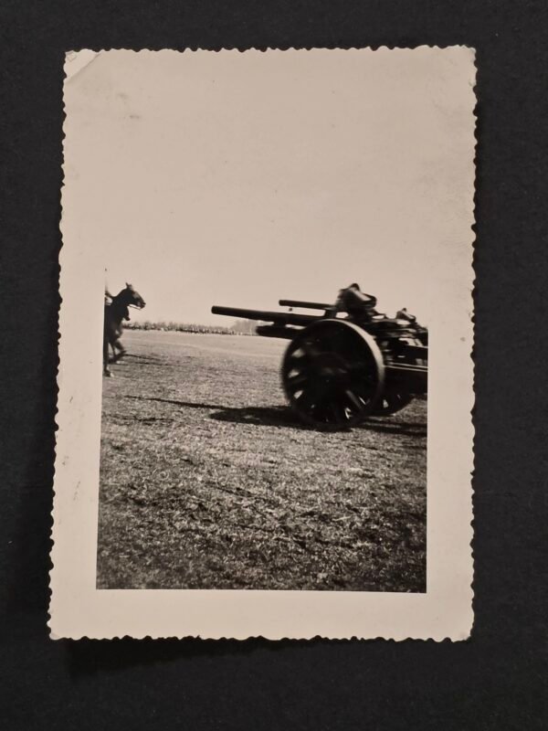 Wehrmacht Cavalry in the field w Military Cannon WW2 German War Photo