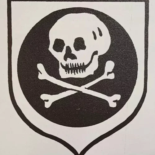 asss WW2 WWII German Luftwaffe special Forces Skull die cut vinyl decal sticker
