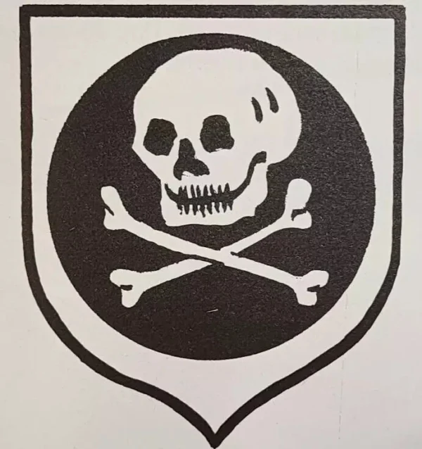 asss WW2 WWII German Luftwaffe special Forces Skull die cut vinyl decal sticker