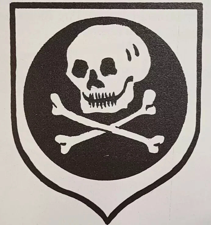 WW2 WWII German Luftwaffe special Forces Skull die cut vinyl decal sticker