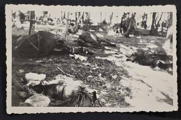 20260902_174104 WWII German Military Photo Dead Horses on Battlefield Grim War Casualty Scene