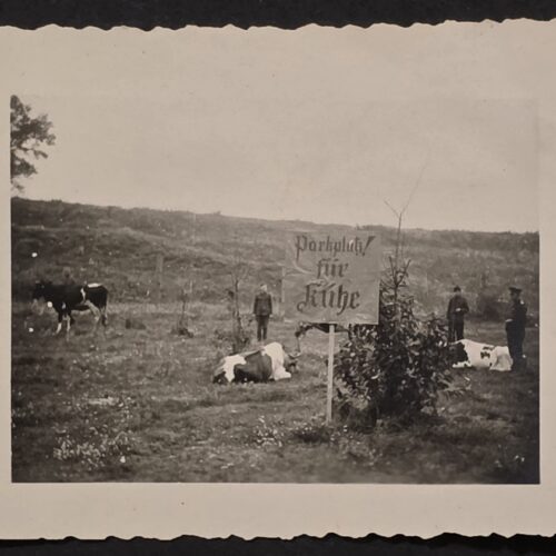 20260902_174145 WWII German Military Photo “Parkplatz für Kühe” Dead Cows sign Grim Battlefield Humor