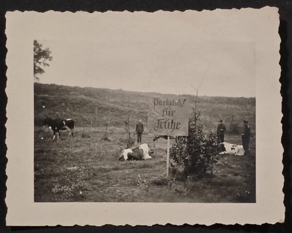 20260902_174145 WWII German Military Photo “Parkplatz für Kühe” Dead Cows sign Grim Battlefield Humor