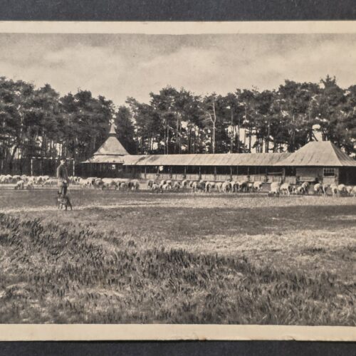 WWI 1918 German Soldiers Feldpost Döberitz Military Training Grounds Postcard