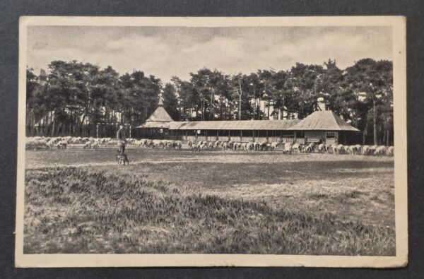 WWI 1918 German Soldiers Feldpost Döberitz Military Training Grounds Postcard