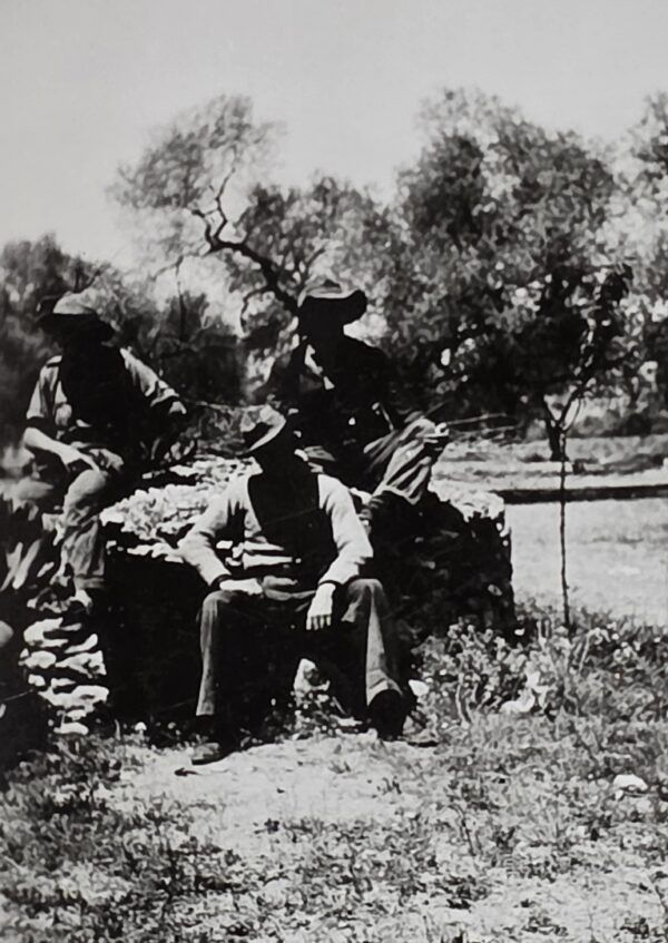 UNKNOWN SOLDIERS WW2 German??  Military Wartime Photo
