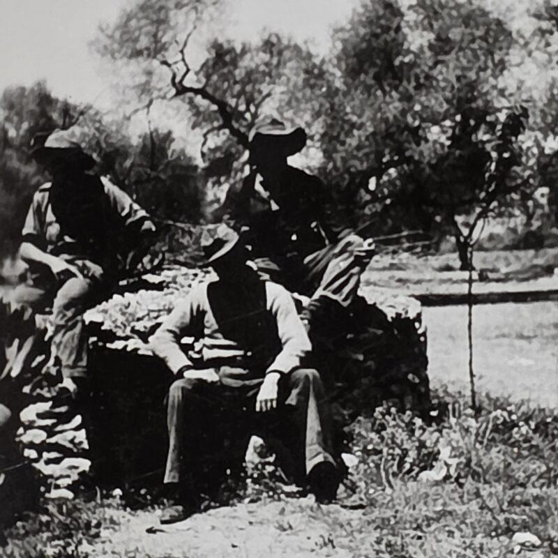 20261007_154830 UNKNOWN SOLDIERS WW2 German?? Military Wartime Photo