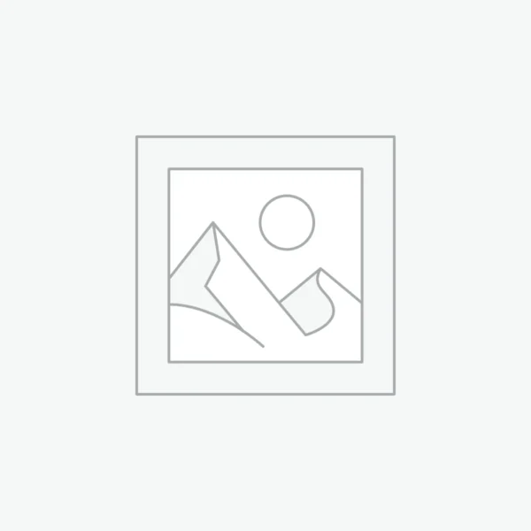 woocommerce-placeholder SS SA HJ HITLER YOUTH NSDAP SA RZM Tags x 10 For WW2 German Cloth Insignia SS